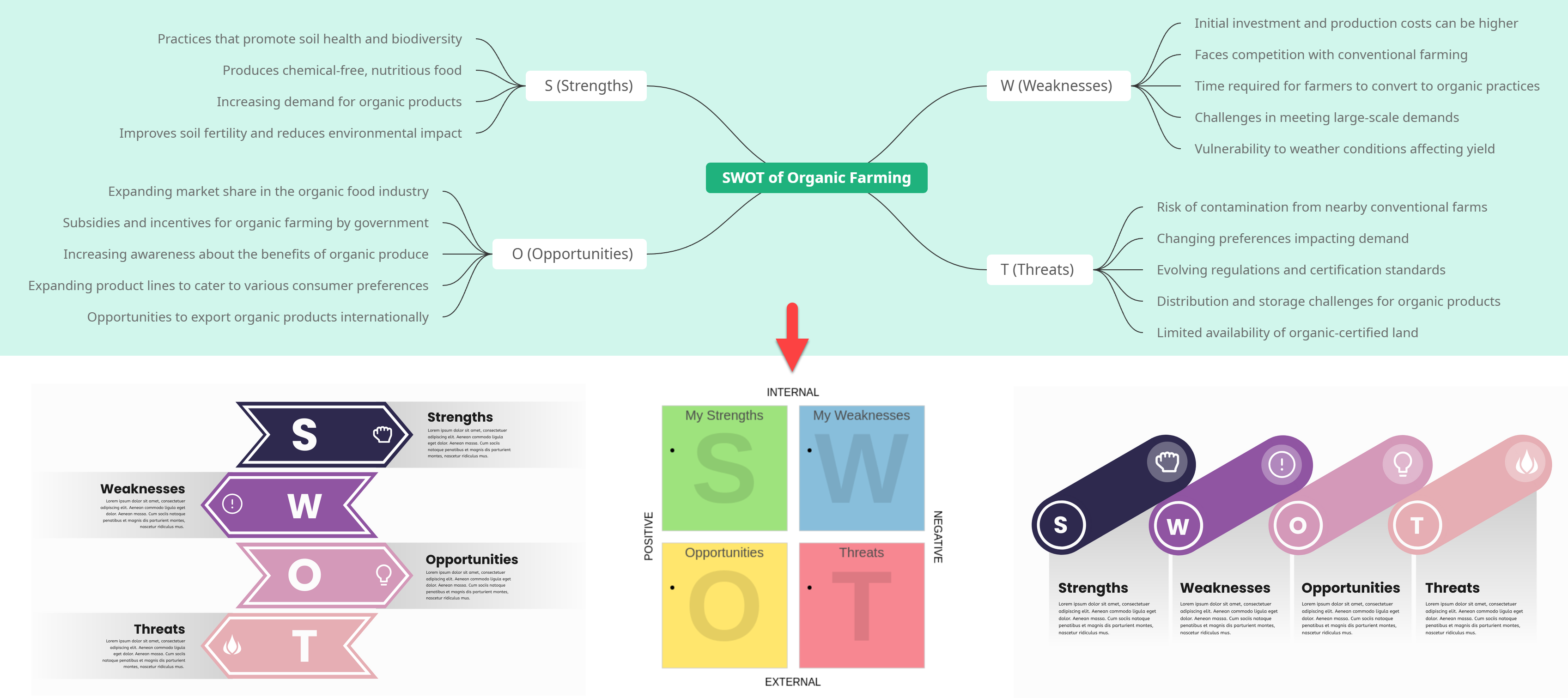 Comprehensive Guide to SWOT Analysis of Organic Farming